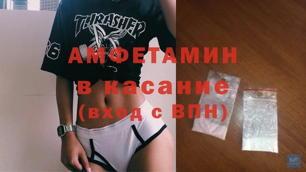 прущие грибы Абаза