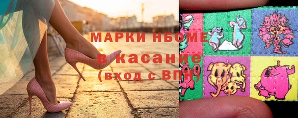 стаф Новозыбков