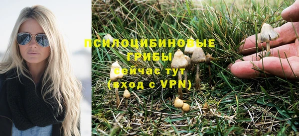 первитин Алексин