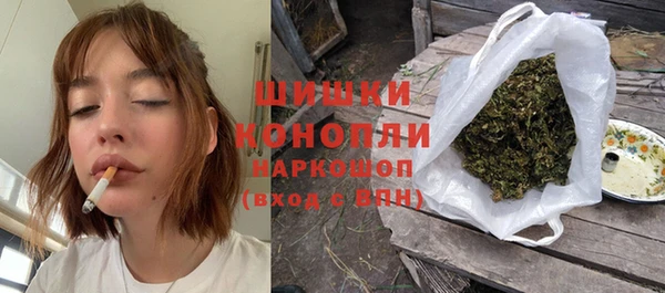 стаф Новозыбков